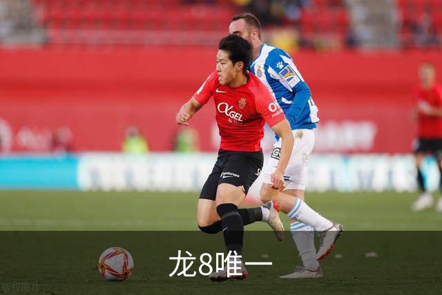 龙8唯一